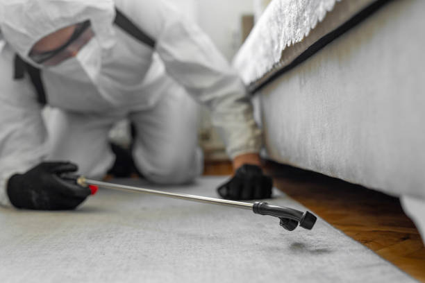 Professional Termite Control technician working in Lander, WY