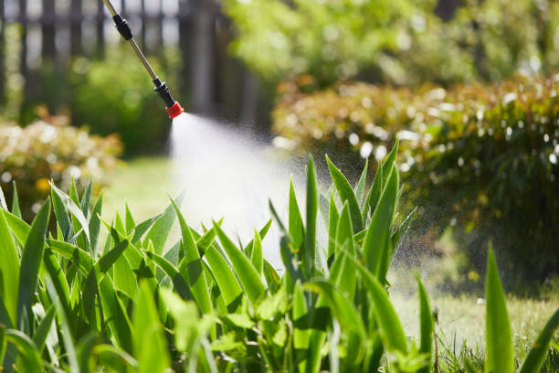24/7 Emergency Termite Control experts in Lander, WY